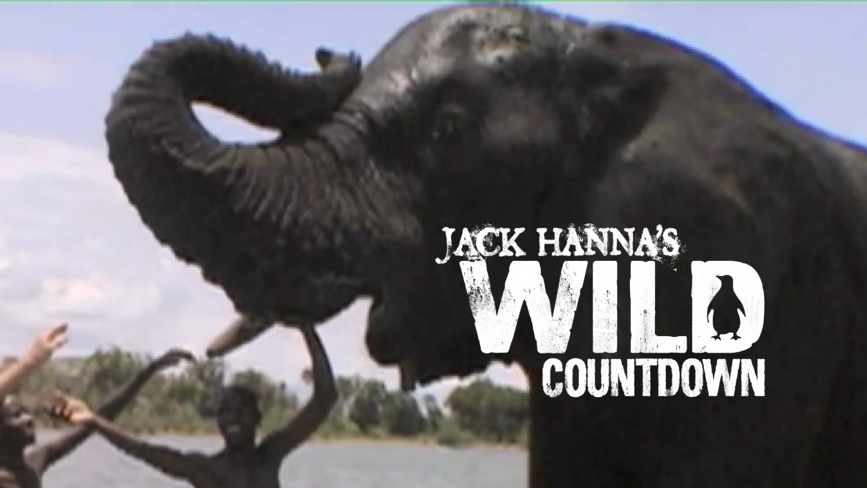 Jack Hanna's Wild Countdown (Season 3) Animal Smarts