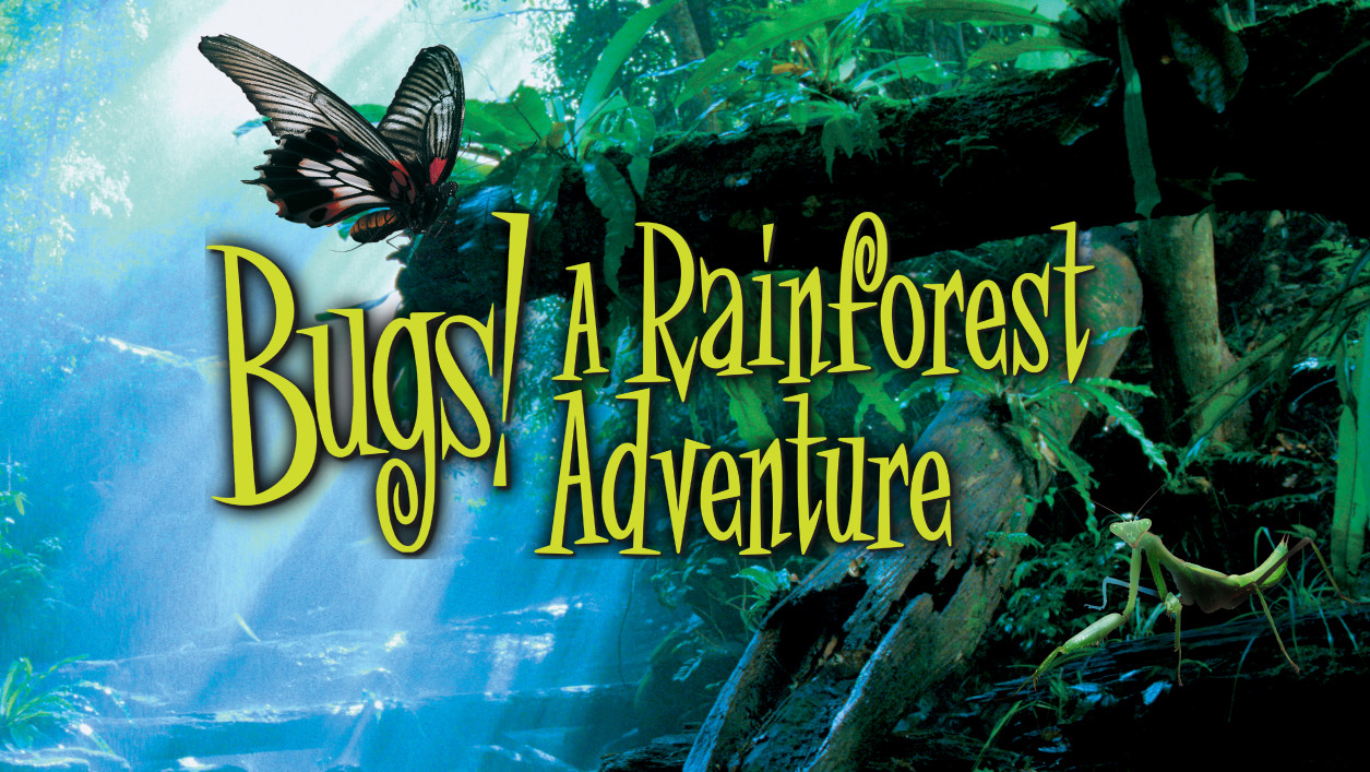 その他 Bugs! A Rainforest Adventure [DVD] Bugs! A Rainforest Adventure - SK Films