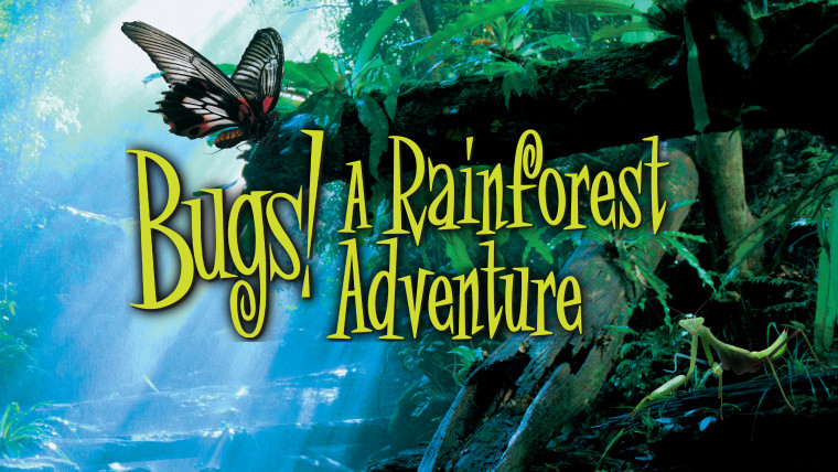 その他 Bugs! A Rainforest Adventure [DVD] MV5BMGMwZDA2ZWItYTUzZS00Yzc3LW