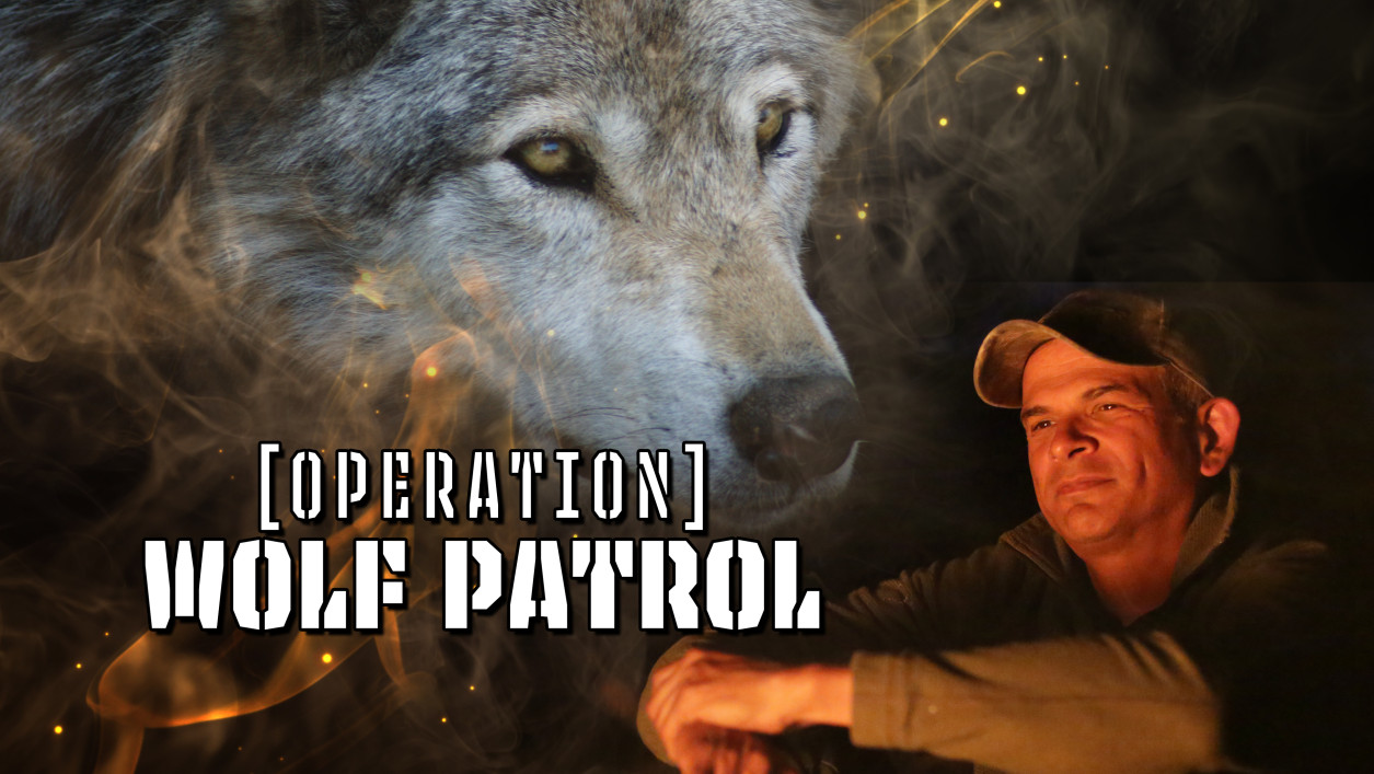 Operation Wolf Nintendo NES Game (Renewed) - Classic Light Gun Shooter