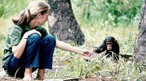 Why Are We Here Episode 1 Meaning Seeking Beings
