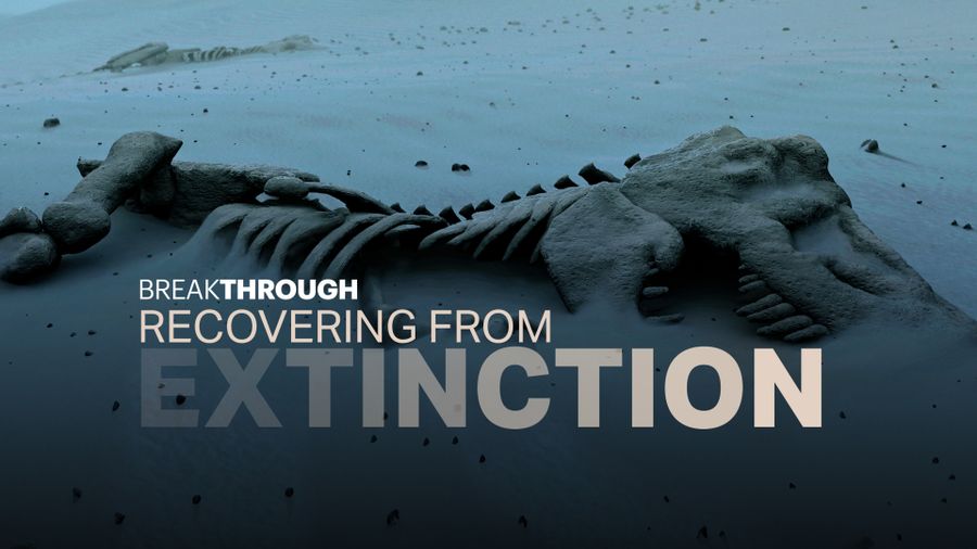 Curiosity Stream Prehistoric Creatures