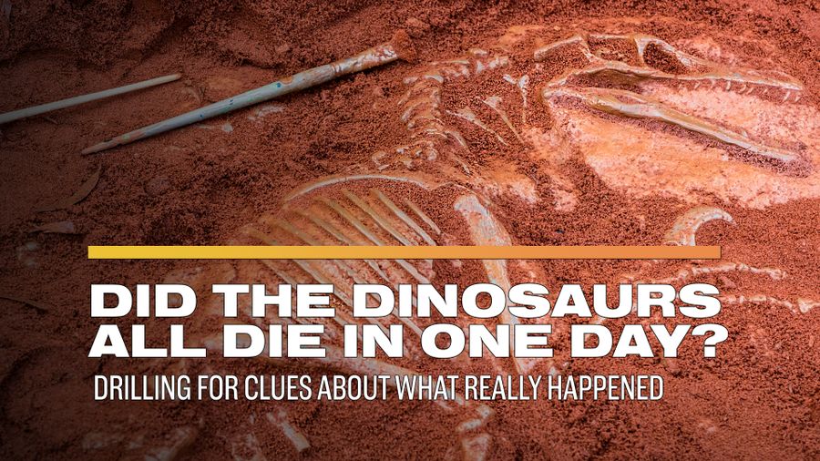 Curiosity Stream Watch Amazing DinoWorld 2 on Curiosity Stream